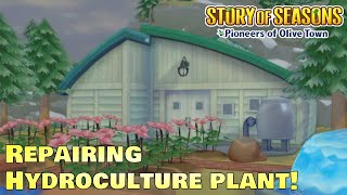 How to repair the hydroculture plant, and is it worth it? Story of Seasons Pioneers of Olive Town