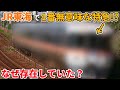 JR東海で最も存在理由が謎だった特急列車の存在理由を考えてみる(JR東海、東海道新幹線、東海道本線、鉄道、新幹線)