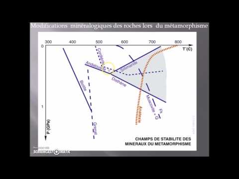 Video: Diferența Dintre Geologie și Petrologie