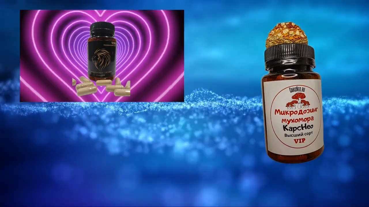 TECHNO MUSIC Про МУХОМОР 🍄 ПЕСНЯ ДЛЯ ДИСКОТЕКИ ПРО МУХОМОРНЫЙ МИКРОДОЗИНГ 🍄