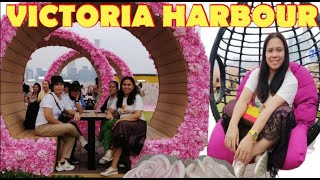 Victoria Harbour Display|| By [Grace Pooh]