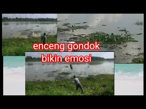 Mancing Emosi!! cuaca panas bikin darah tinggi@bangkenchannel2471