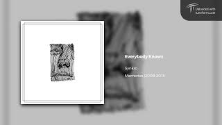Synkro - Everybody Knows (2010) | Future Garage
