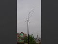 気流