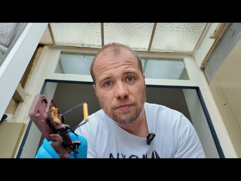 3-4 souris en 7 jours : bilan cuisine avec pièges à glu