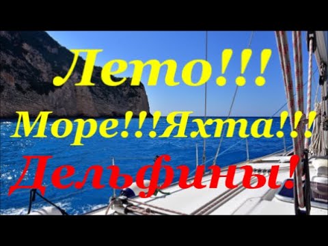 Незабываемая Прогулка с Дельфинами Лето!!! Море!!! Дельфины!!! Яхта!!!