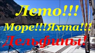 Незабываемая    Прогулка  С   Дельфинами   Лето!!!  Море!!!  Дельфины!!!  Яхта!!!