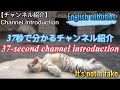 【チャンネル紹介】37秒で分かるチャンネル紹介（再編集）、37-second channel introduction(English subtitles)
