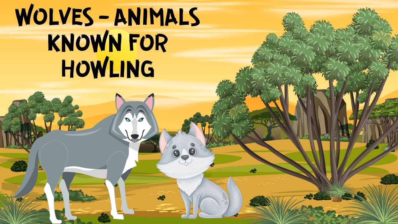 ALL ABOUT WOLVES FOR KIDS | WOLVES - ANIMALS KNOWN FOR HOWLING | LEARN WOLVES | DONUT KIDS TV