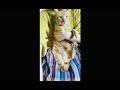猫におパンツ履かせ方 how to make a cat wear pants #shorts