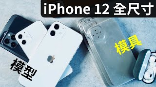 iPhone 12 / Pro 全尺寸到手 + 全部 iPhone 尺寸比較 | IPhone 12 vs SE, 7 Plus, X, 11, 11 Pro Max (4K)
