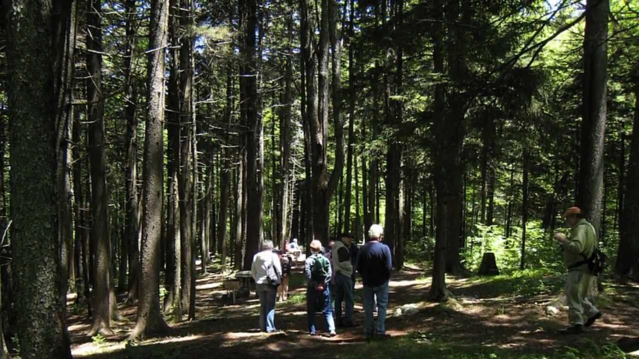 Forsyth Audubon Society Spring Field Trip 2012
