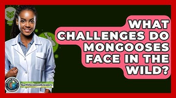 What Challenges Do Mongooses Face In The Wild? - Earth Science Answers