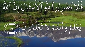 سورة النحل صفحة ٢٧٥ مكتوبة مكررة بصوت سعد الغامدي