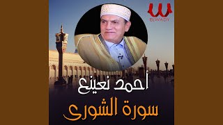 الشوري