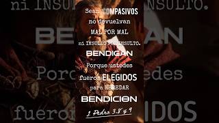 DAVID #5 Decision en la Cueva #diosteama #david #fe #noterindas #1samuel #bendición #bendecir