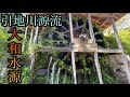 辿れ‼️「大和水源」と「引地川源流」の湧水へ【神奈川県大和市】