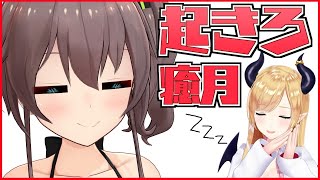 【おはよう】ちょこ先生をまったりまちます～【ホロライブ/夏色まつり】