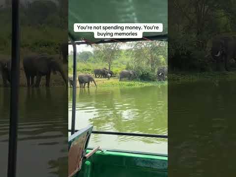 Come Make Safaris With Us At Sha3iftoursandtravel Gmail Com