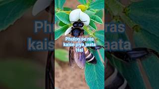 Main toh Raste se #kcfarming #automobile #love #song #vlog #viral #trending
