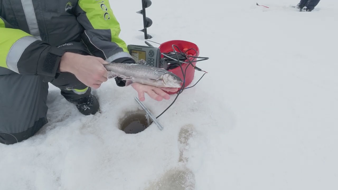 Rödingfiske/Char Icefishing - Ondtjärn 8/2-2026