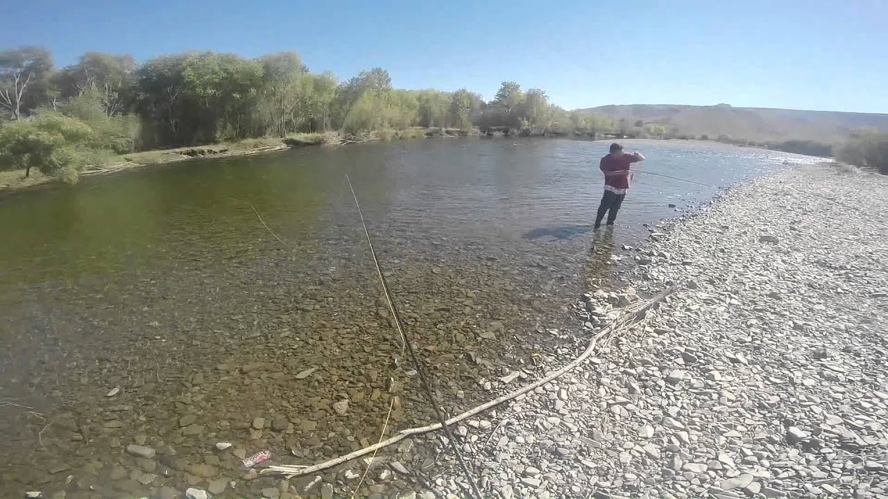 Grayling Fly Fishing &Flycasting YouTube