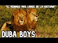 DUBA BOYS | Ningún LEÓN podía CON estos HERMANOS