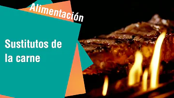 ¿Pueden los huevos sustituir a la carne?