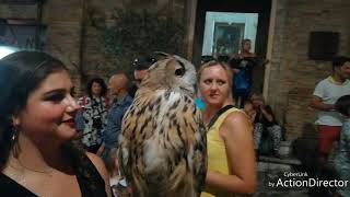 Gradara: The Magic Castle Agosto 2019