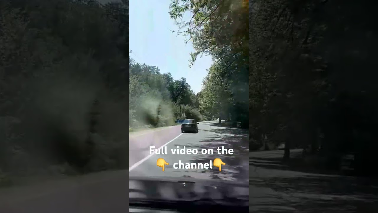 A Peaceful Drive Through the Heart of the Forest 🌲🚗