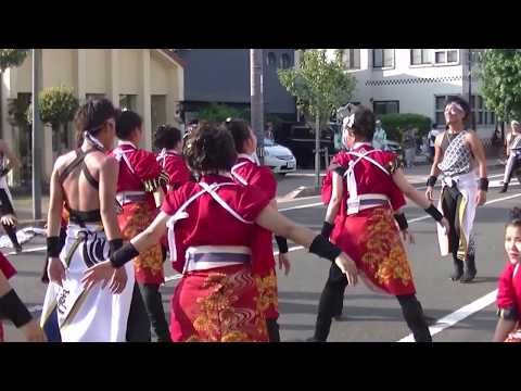 蓮雫＊銭形よさこい2017＊上市会場