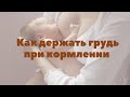 Как правильно держать грудь при кормлении | Грудное вскармливание | "До и После Родов"