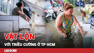 Cận cảnh triều cường đạt đỉnh ở TP.HCM: Biển nước tràn vào nhà, dân vật lộn trong vùng ngập | BLĐ
