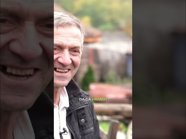 Naš raj na zemlji: Zivotinje, ribnjak i čarobni zoološki vrt! #shorts