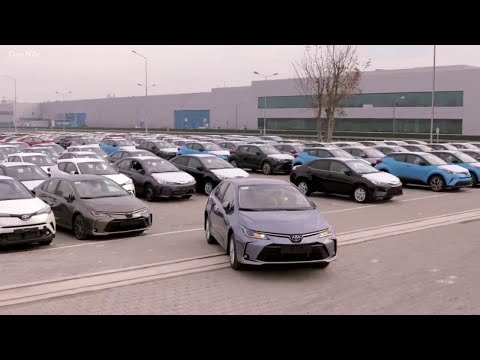 Toyota Corolla &