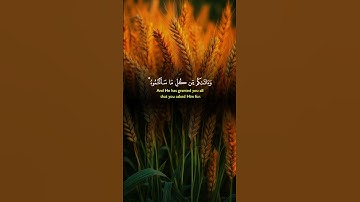 الحمد لله والشكر على كل نعمة اعتدنا وجودها فنسينا شكرها#سورة#ابراهيم #قران