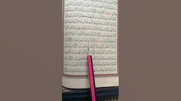 تعليم سورة الروم من 11 إلى 15