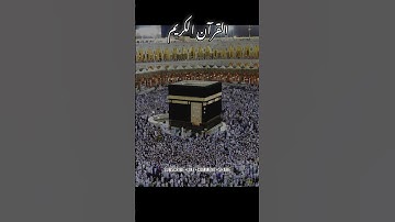 Al-quran tilawat #alquran #سورة_الإخلاص #egzonibrahimi #ikhlas #duet