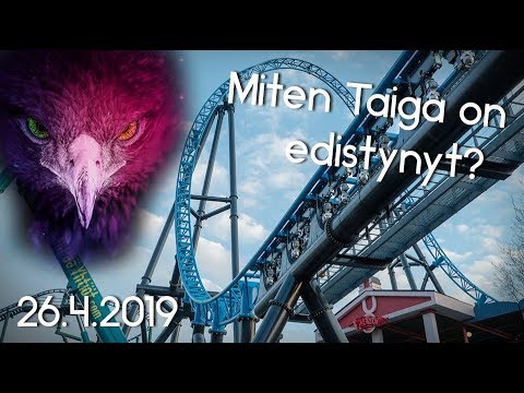 Video: Kuinka Selviytyä Taigassa