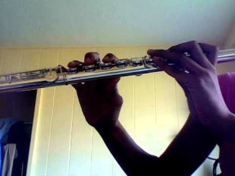 "Gravity" (flute cover) by Sara Bareilles