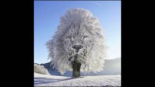 Rapture 2025 - Eyes On The Prize