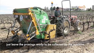Vilafranca del Penedes - A success case of using agrobiomass for heating