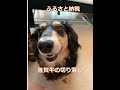 佐賀牛の切り落し【ふるさと納税】