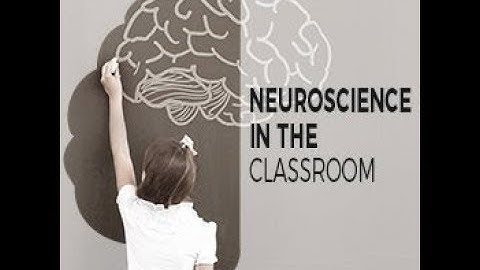 Neuroscience in the Classroom