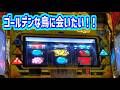 カピバラくん GWにゴールデンな鳥に会いたい!アレックスブライト#パチスロ動画