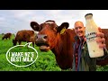 DAIRY FARM behind the scenes in WAIKATO, New Zealand | + KIWI PIE 5th GENERATION bakers