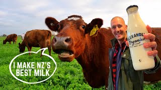 Organic milk VENDING MACHINES in New Zealand | Behind the scenes of DAIRY FARM in WAIKATO