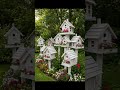 Small Garden Clean Design 🌱 | Simple &amp; Fresh Ideas