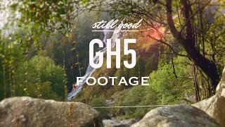 GH5 in 2024 - CINE D mode (4K Nature)