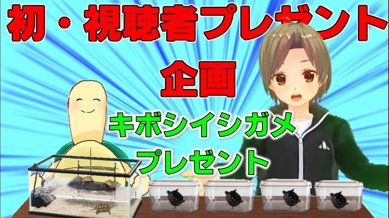 亀をプレゼントしてきました キボシイシガメ視聴者プレゼント企画 19 110 Youtube